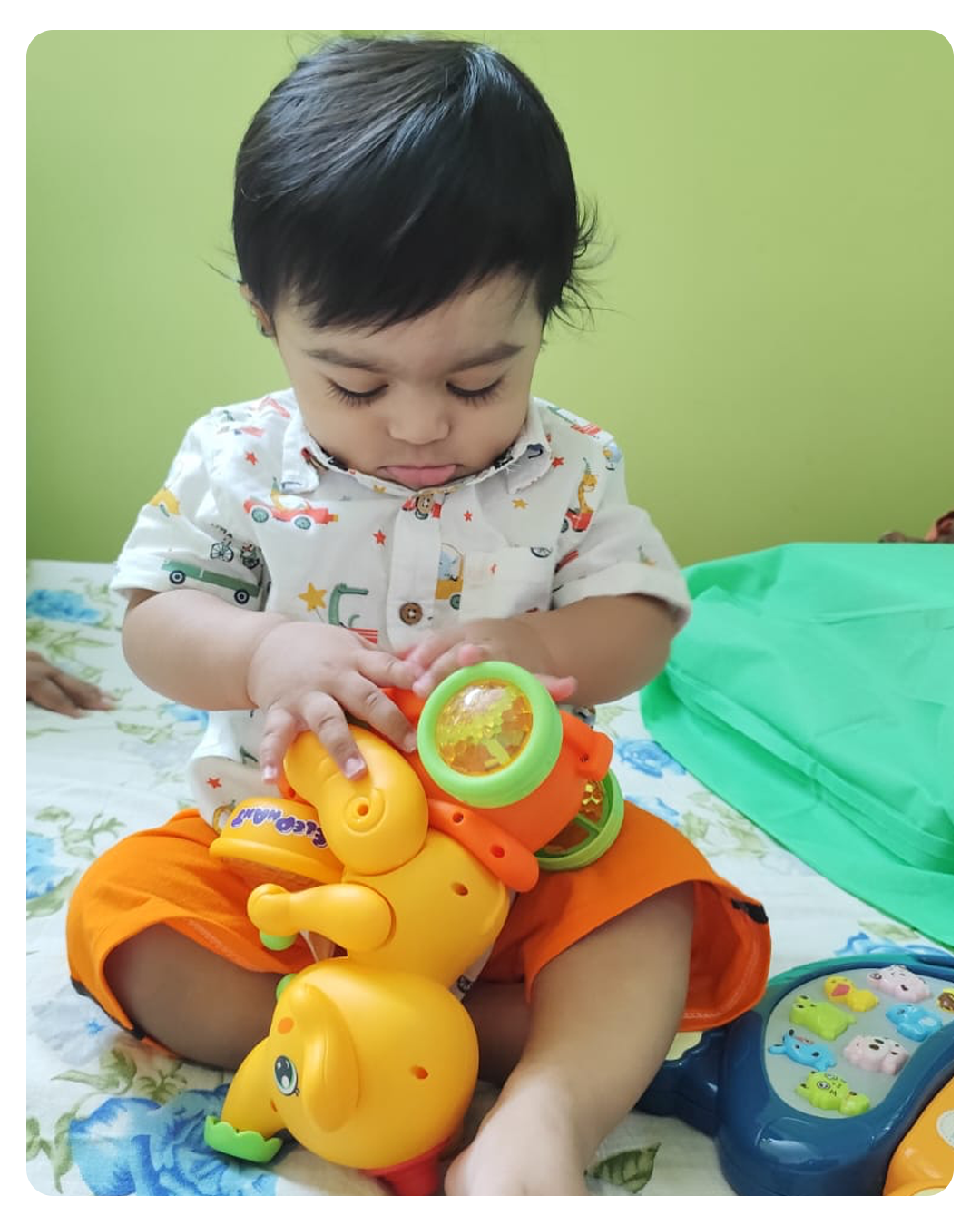 toyhouse review